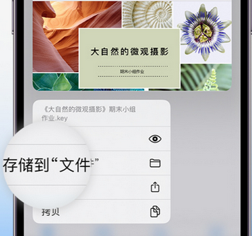 肃北apple维修中心分享iPhone文件应用中存储和找到下载文件