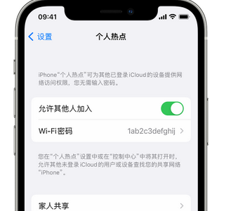 肃北apple服务站点分享iPhone上个人热点丢失了怎么办 