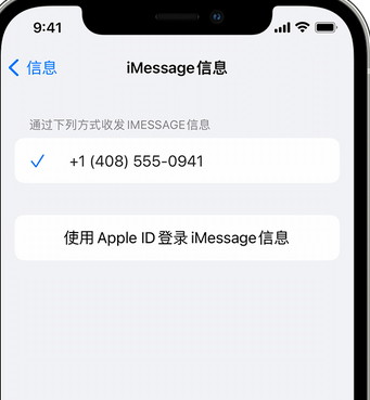 肃北apple维修iPhone上无法正常发送iMessage信息 