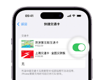 肃北apple维修点分享iPhone上更换Apple Pay快捷交通卡手绘卡面 