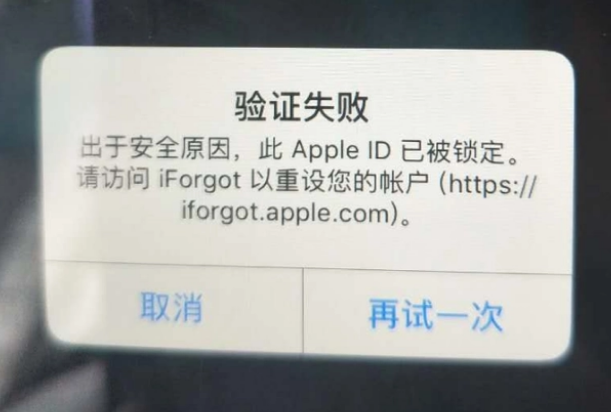 肃北iPhone维修分享iPhone上正常登录或使用AppleID怎么办 