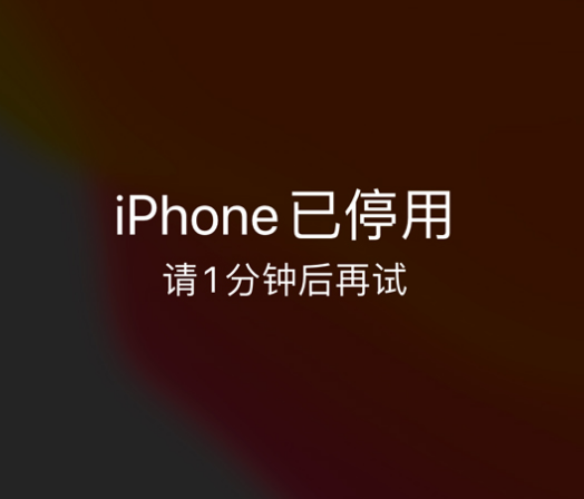 肃北苹果手机维修分享:iPhone 显示“不可用”或“已停用”怎么办？还能保留数据吗？ 