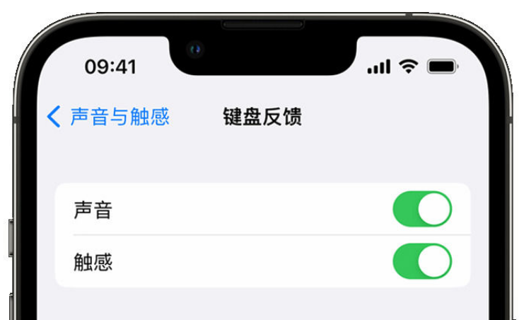 肃北苹果手机维修分享iPhone 14触感键盘使用方法 