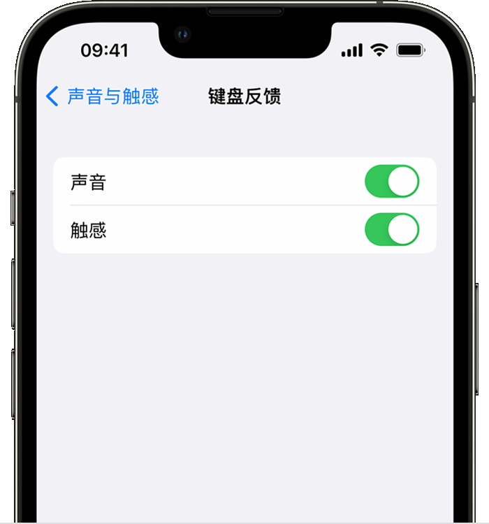 肃北苹果14维修店分享如何在 iPhone 14 机型中使用触感键盘 