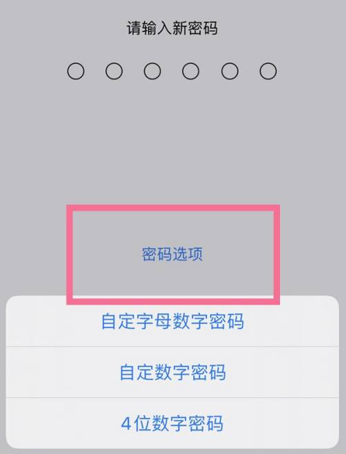肃北苹果14维修分享iPhone 14plus设置密码的方法 