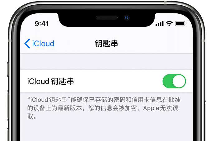 肃北苹果手机维修分享在 iPhone 上开启 iCloud 钥匙串之后会储存哪些信息 